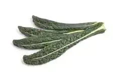 Cavolo nero (palmkool)