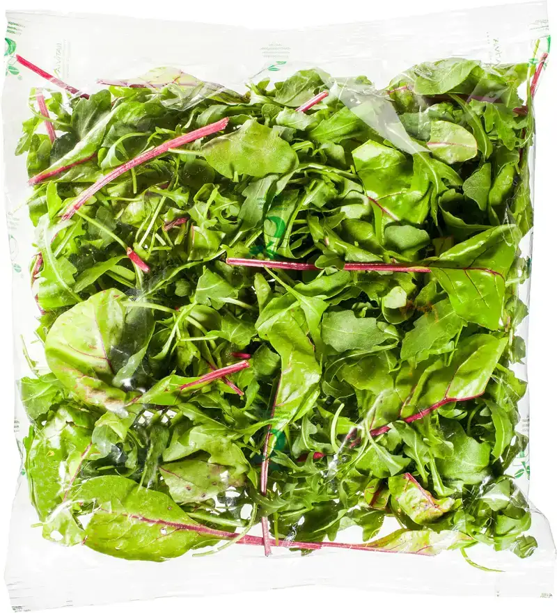 Rucola melange