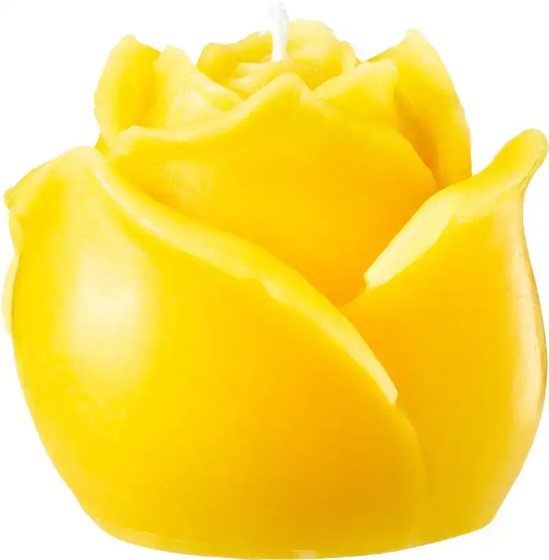 Bijenwaskaars roos