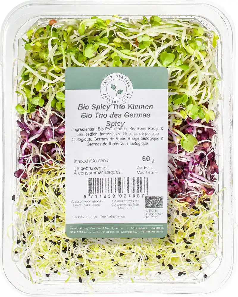 Spicy kiemen trio