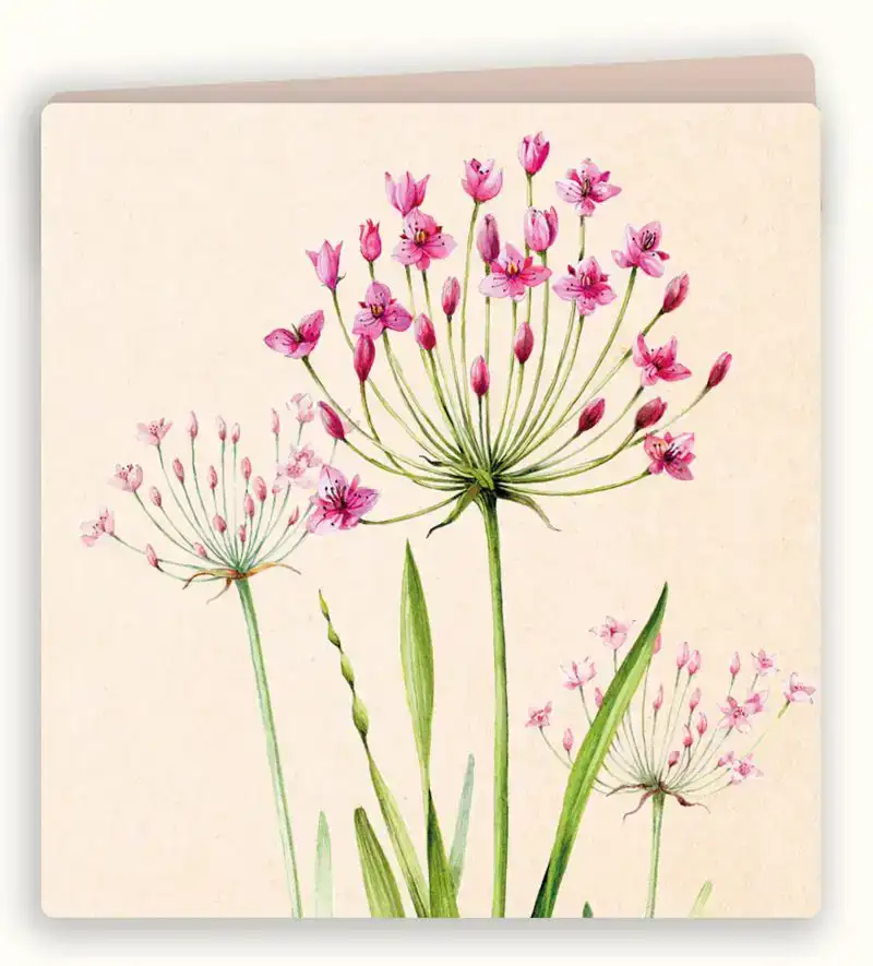 Kaart zwanenbloem