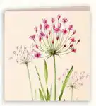 Kaart zwanenbloem