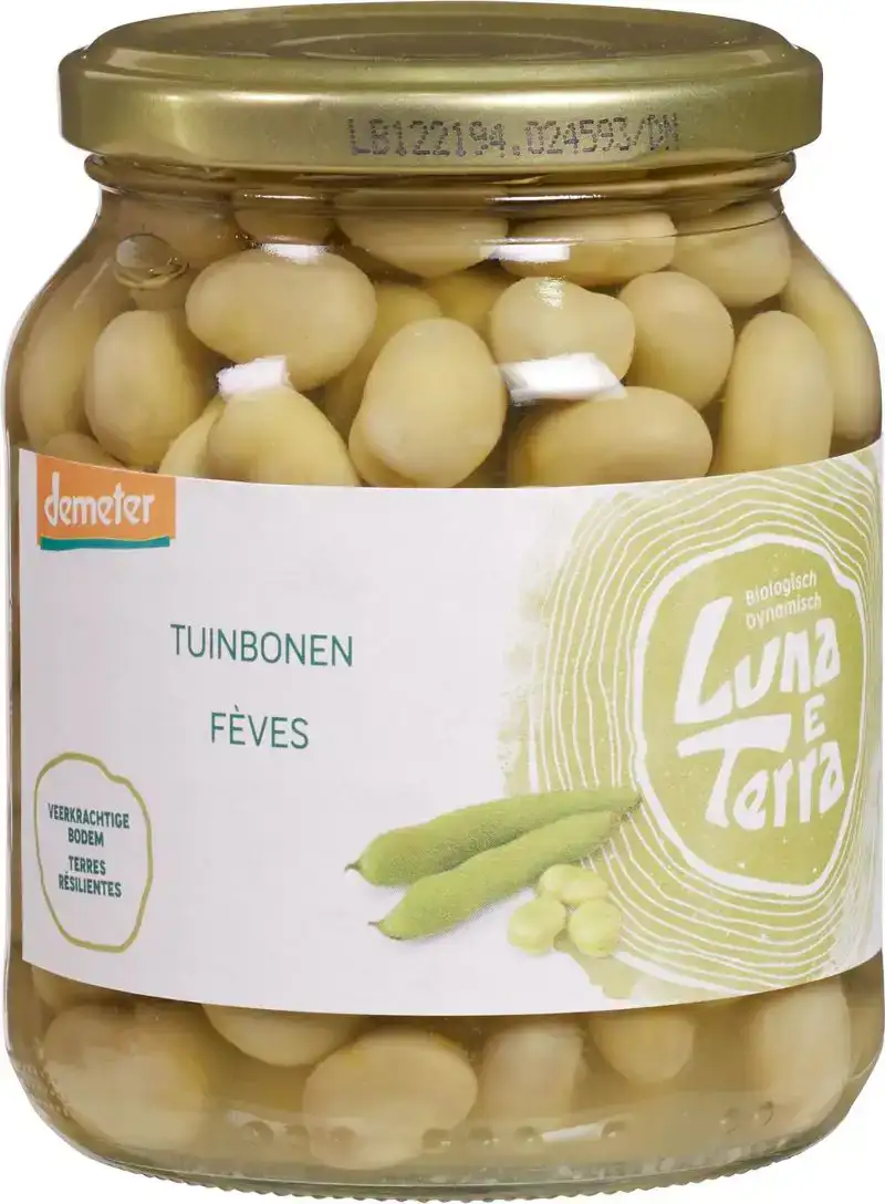 Tuinbonen
