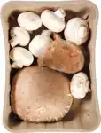 Paddenstoelenmix