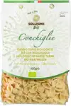 Conchiglie
