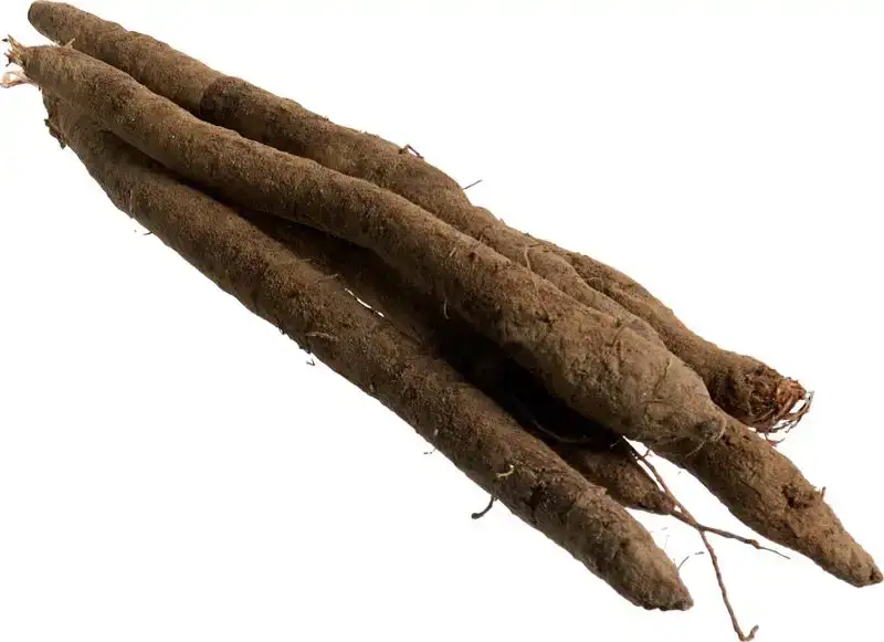 Schorseneren