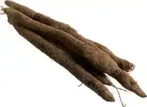 Schorseneren