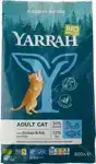 Kattenbrokken adult