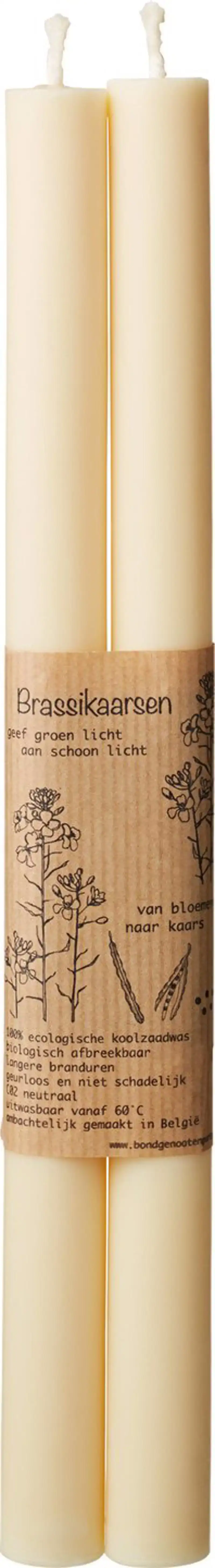 Dinerkaarsen ivoor