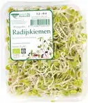 Radijskiemen